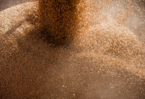 Vortex-Global: Giải Pháp Tích Hợp Lọc Bụi và Vòi Xả Xử Lý Bụi Ngũ Cốc Vortex-Global: Giải Pháp Tích Hợp Lọc Bụi và Vòi Xả Xử Lý Bụi Ngũ Cốc