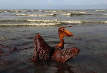 Giải pháp giám sát và cảnh báo hàm lượng dầu trong nước - Inventive system Việt Nam Giải pháp giám sát và cảnh báo hàm lượng dầu trong nước - Inventive system Việt Nam