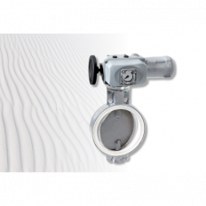 Butterfly Valve with electric actuator.