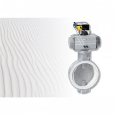 Butterfly Valve with pneumatic actuator and positioner.