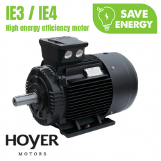 Động cơ điện HMC4 180M-4, 4104180-18.5-020201-S-020020