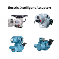 Electric Intelligent Actuators