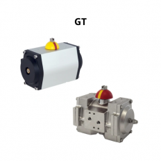 GT