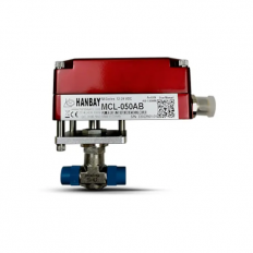 MCL-000XX-3-SS-4L2