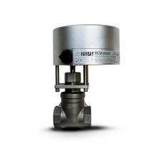 RCM-000XX-3-SV30276TE006