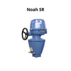 Noah SR