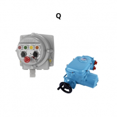 Q