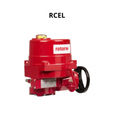 RCEL