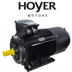 HMC2 200L2-4, Motor HMC2 200L2-4, Động cơ điện HMC2 200L2-4, Đại lý Hoyer tại Việt Nam