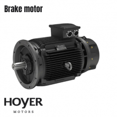 Hoyer brake motors