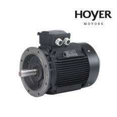 Động cơ điện không đồng bộ ba pha Hoyer HMC3 250M4 