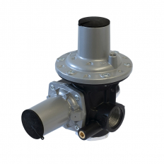 Low pressure gas regulators and governors-Direct operated-HP 100