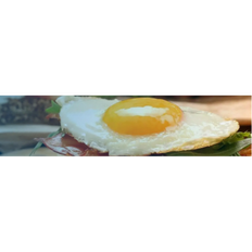 Commercial Contact Grills