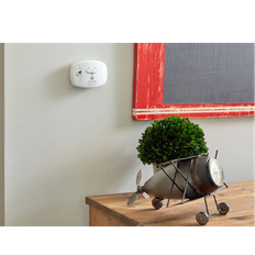 Carbon Monoxide Alarms