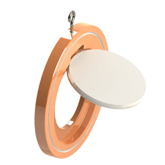 Swing check valves