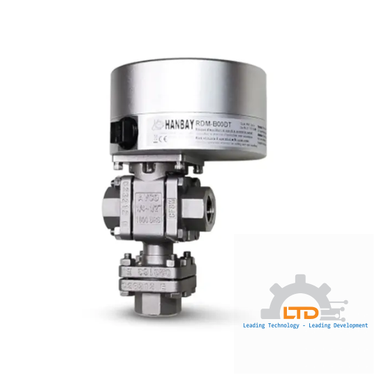 RDM-000XX-3-1733UT-SE-050-3L180