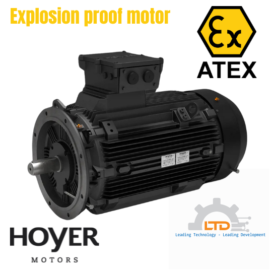 Động cơ điện HMCX 315L1 2p V1 NDE IE2 ExdbebIIBT4Gb, 2102315-0160-060211-B032042