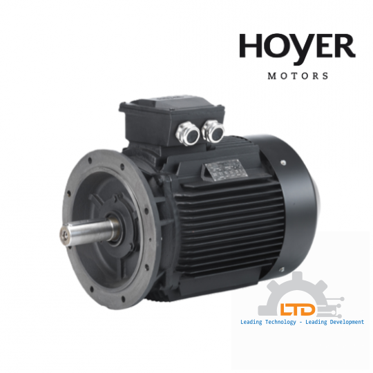 Động cơ điện không đồng bộ ba pha HMA3 100L1-4