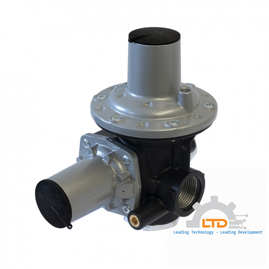 Low pressure gas regulators and governors-Direct operated-HP 100