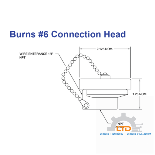 6P Head