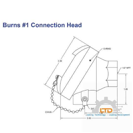 1C Head