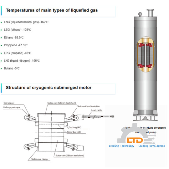 Cryogenic Submerged Motor