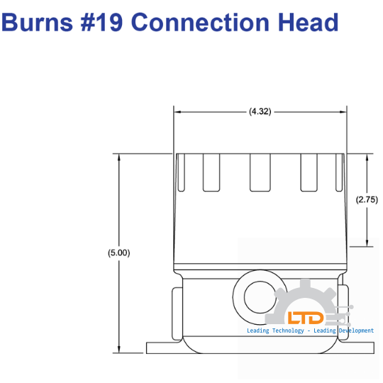 19A Head with Indicator
